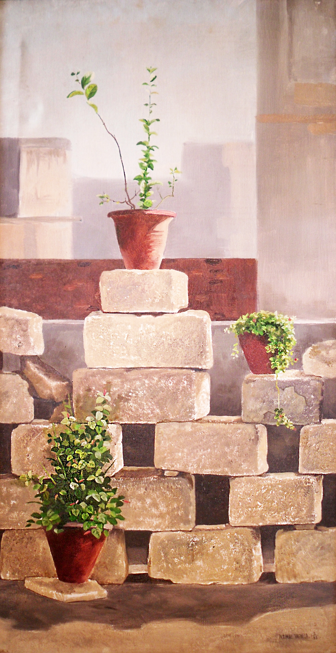 Sunlighe on my terrace