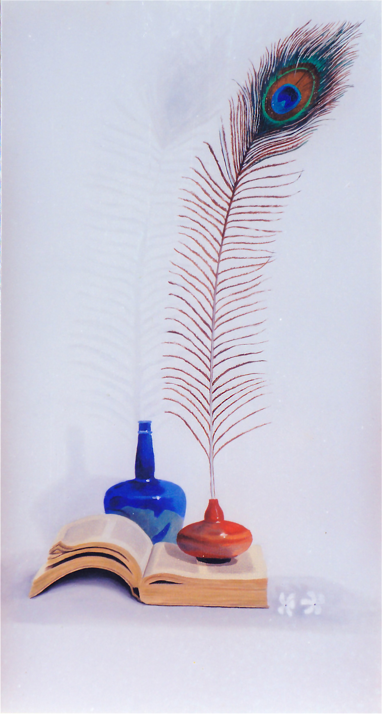 Stilllife with Peacock Feather