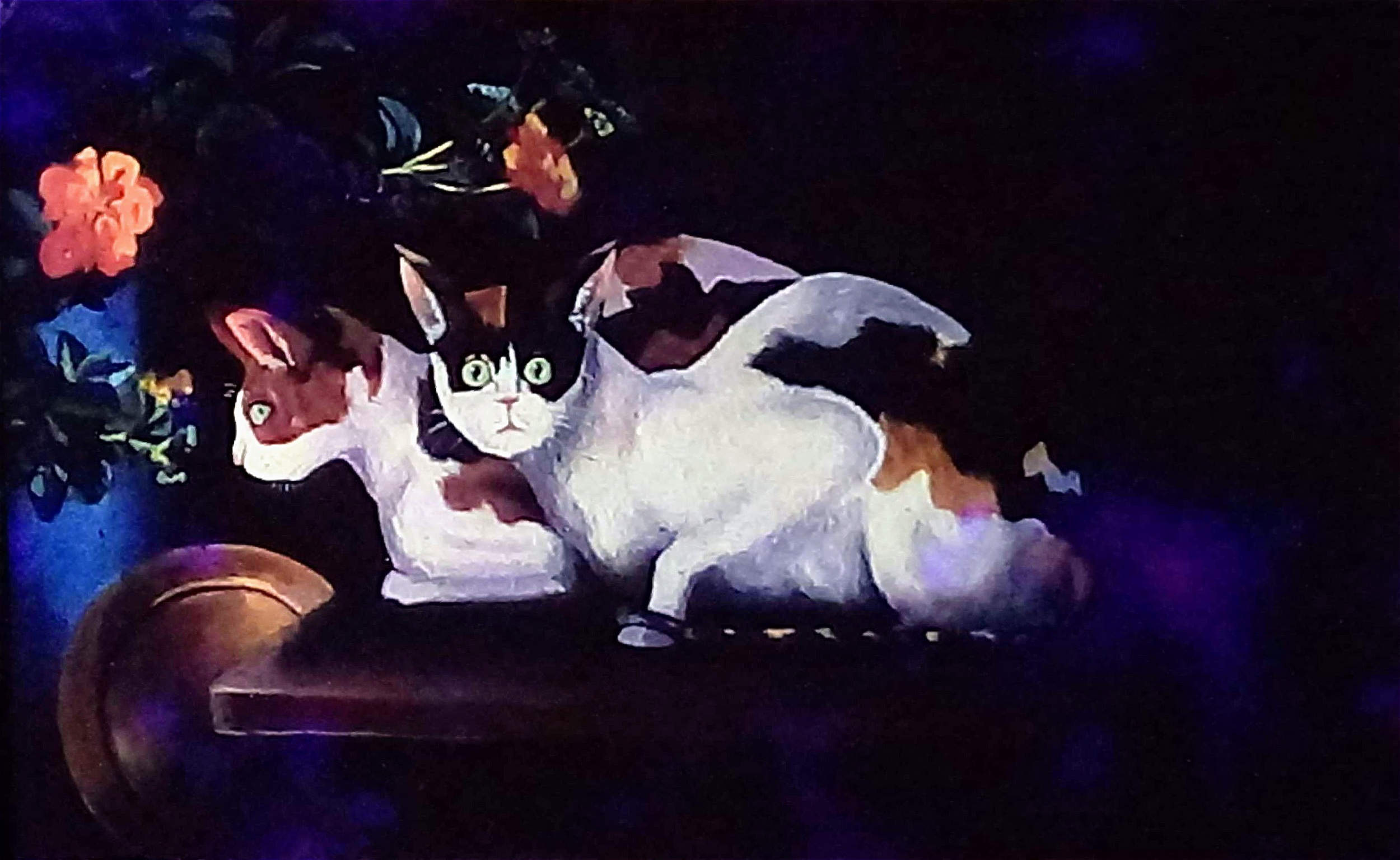 Cats