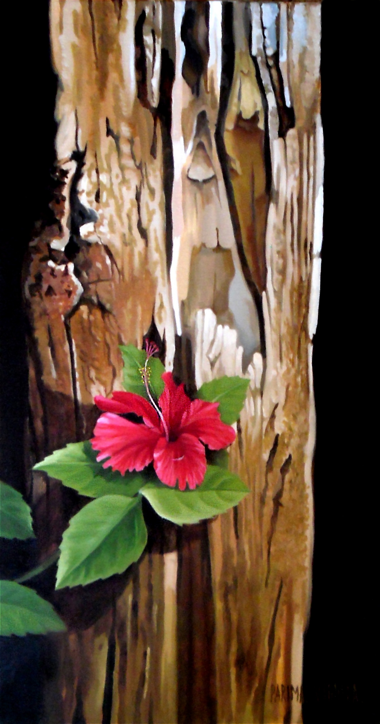 Hibiscus