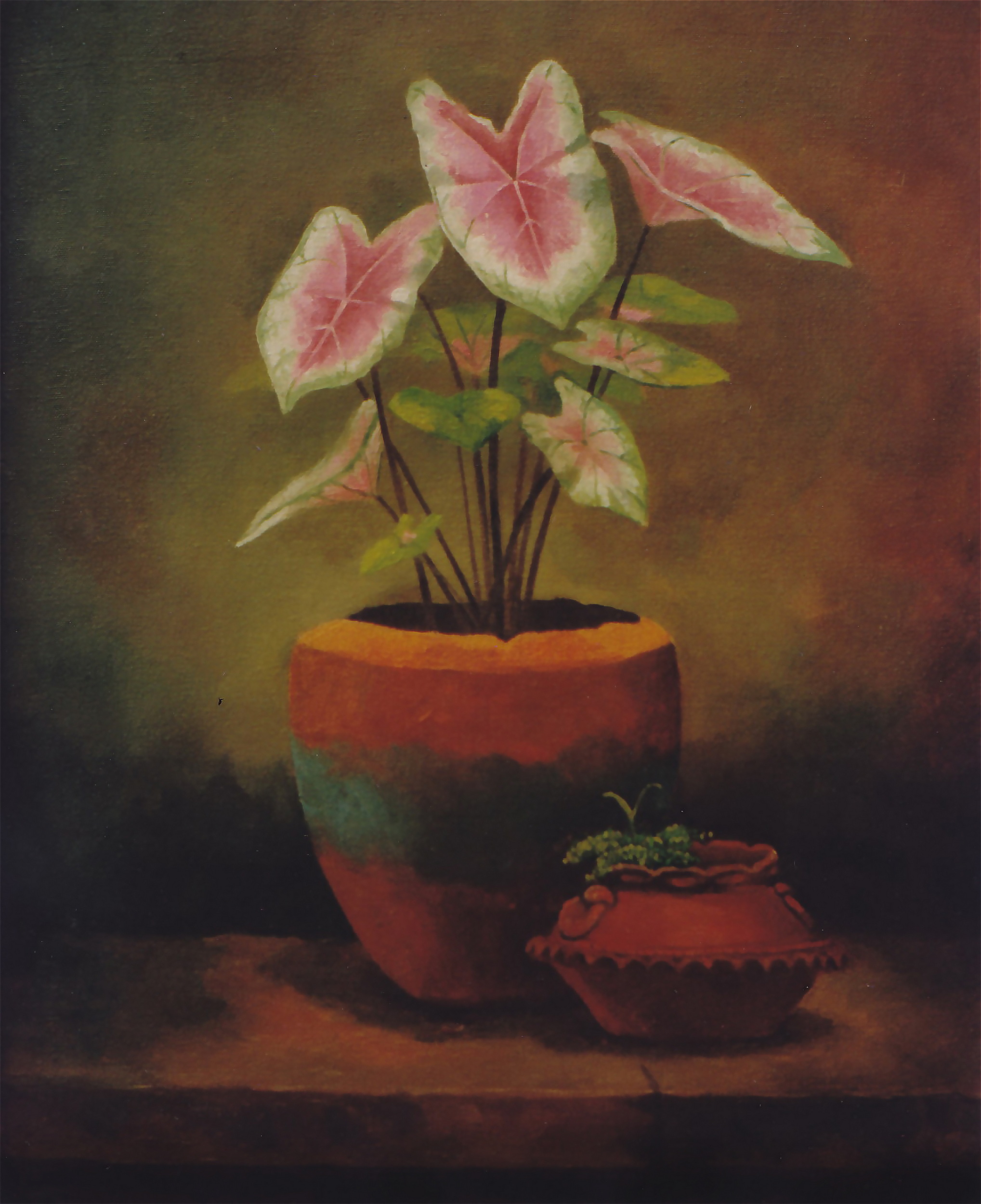 Pink Petals